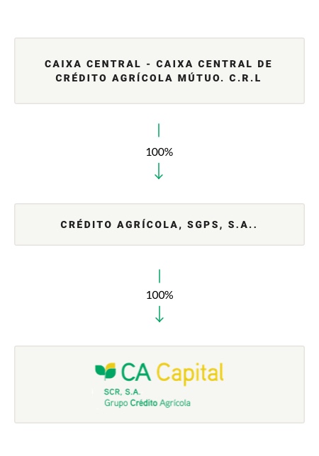 shareholder structure 01